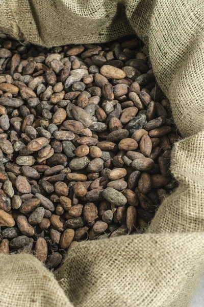 Granos de cacao en bolsa — Foto de Stock