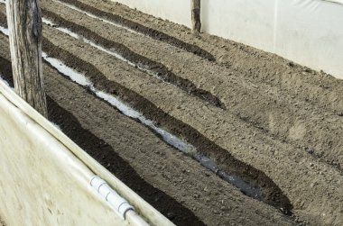 Gün ışığı toprak sulama