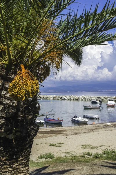 Palm en boten in Griekenland — Stockfoto