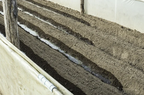 Gün ışığı toprak sulama