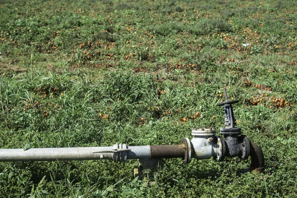 Tubo de irrigação em campo — Fotografia de Stock