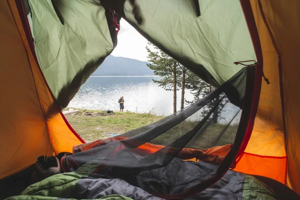 Visa Från Inne Tältet Visa Skogen Bulgarien — Stockfoto