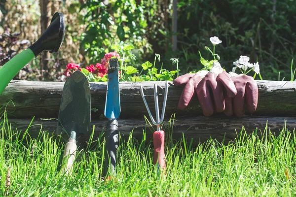 Attrezzi da giardino su prato verde — Foto Stock