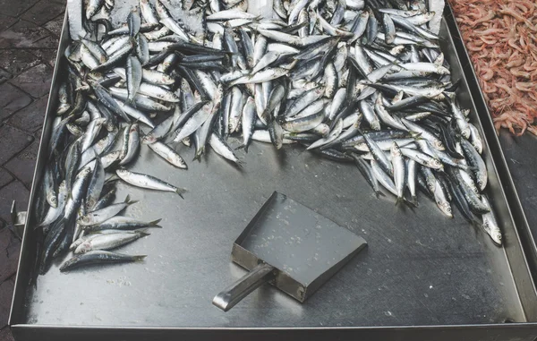 Fish on ice in market — Stock Photo, Image