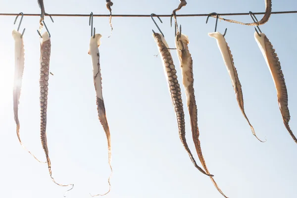 Bläckfisk Rep Med Himmel Bakgrund Grekland Gythio — Stockfoto