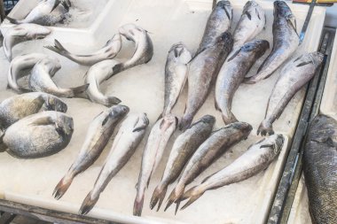 Pazarda buzda balık