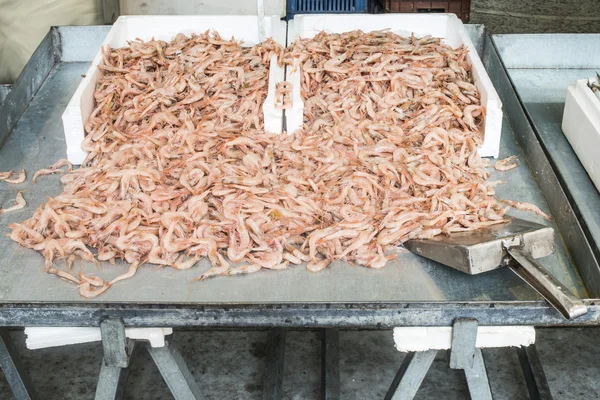 Shrimps auf Eis auf dem Markt — Stockfoto