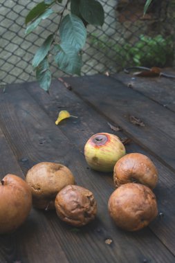 Ahşap üzerine çürük elma