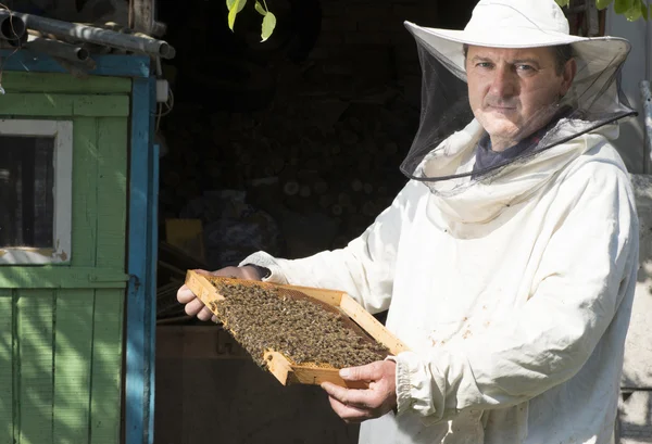 Beekeeper with honeycombs in hands — Stock Photo, Image