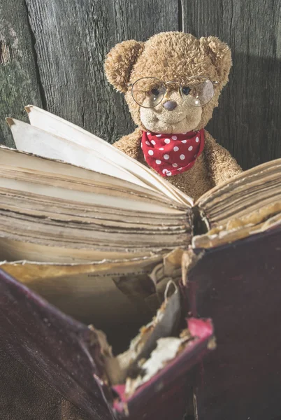 Ursinho de pelúcia com livro vintage velho — Fotografia de Stock