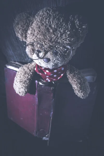 Плюшевый мишка со старой винтажной книгой — стоковое фото
