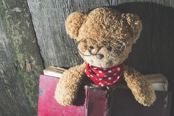 Teddybeer met oude vintage boek — Stockfoto