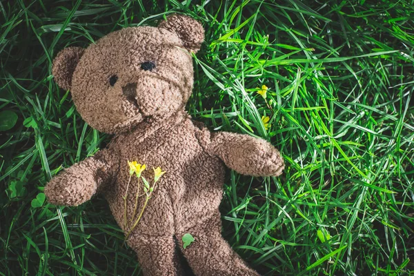 Teddy bear op gras — Stockfoto