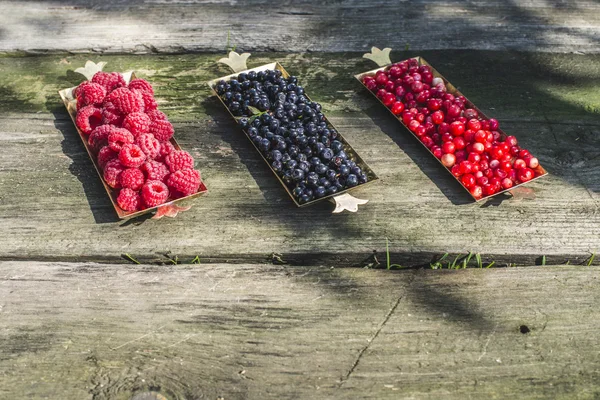 Rote und schwarze Himbeeren und Blaubeeren — Stockfoto