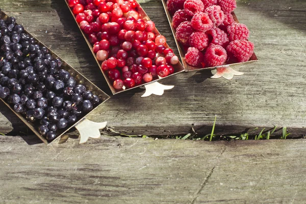 Rote und schwarze Himbeeren und Blaubeeren — Stockfoto