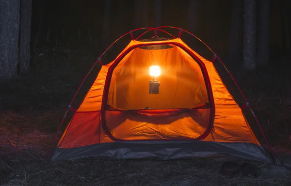 Orange tält i skogen — Stockfoto