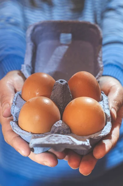 Яйца голубого цвета — стоковое фото