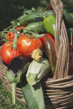 Tahta sepette sebzeler