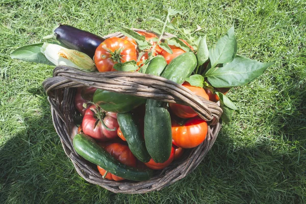 Verdure in cestino di legno — Foto Stock