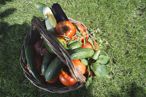 Légumes dans un panier en bois — Photo