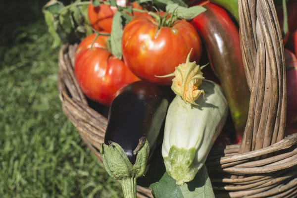 Verduras en cesta de madera —  Fotos de Stock