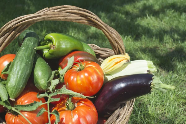 Vegetables in wooden basket — Stock Photo, Image