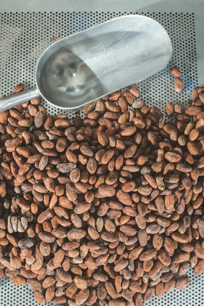 Cocoa beans in fabric — Stock Photo, Image