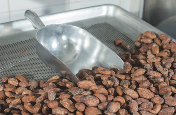 Kakaobohnen im Stoff — Stockfoto