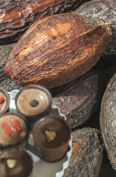 Cocoa pods and bonbons — Stock Photo, Image