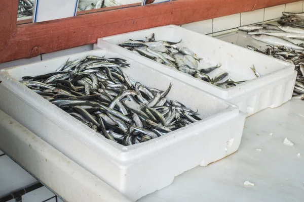 Vissen op het ijs in de markt — Stockfoto