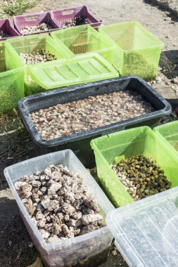 taş mozaik kutularındaki