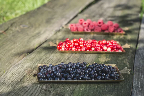 Red and black raspberries and blackberries — Stock Photo, Image