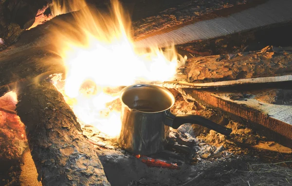 Připravuje barbecue v lese — Stock fotografie