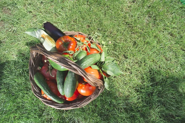 Légumes dans un panier en bois — Photo