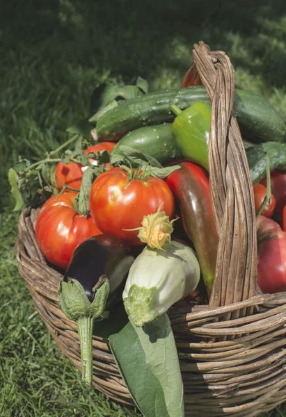 Vegetables in a wooden basket — Stock Photo, Image