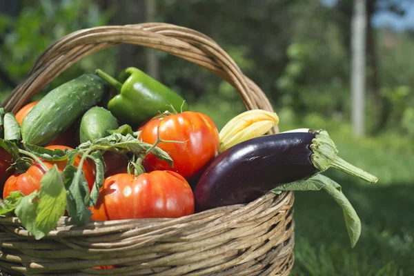 Vegetables in a wooden basket — Stock Photo, Image