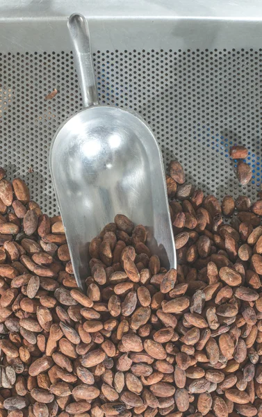 Grãos de cacau em tecido — Fotografia de Stock