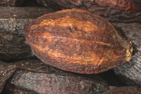 Brown cocoa pods — Stock Photo, Image