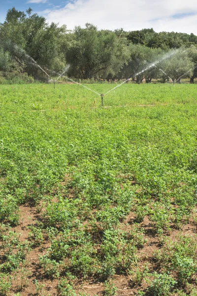 Irrigation systems and sky — Stock Photo, Image