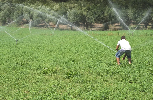 Irrigation systems and sky — Stock Photo, Image