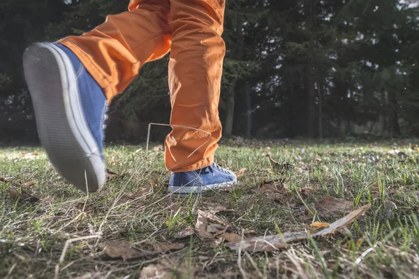 Kind spaziert im Wald — Stockfoto