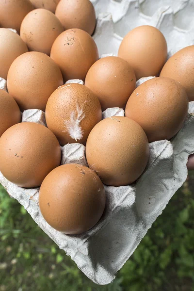 Eggs in paper packaging. — Stock Photo, Image