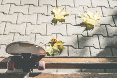 Sonbahar sırasında parkta kaykay