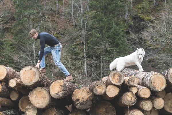 Homme et chien sur bûches dans la forêt — Photo