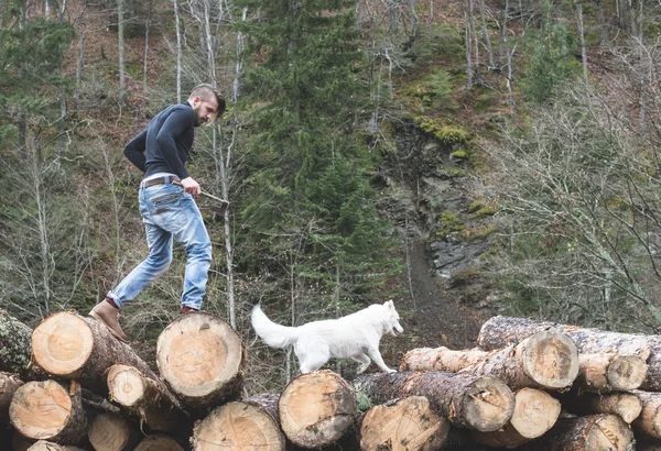 Homme et chien sur bûches dans la forêt — Photo