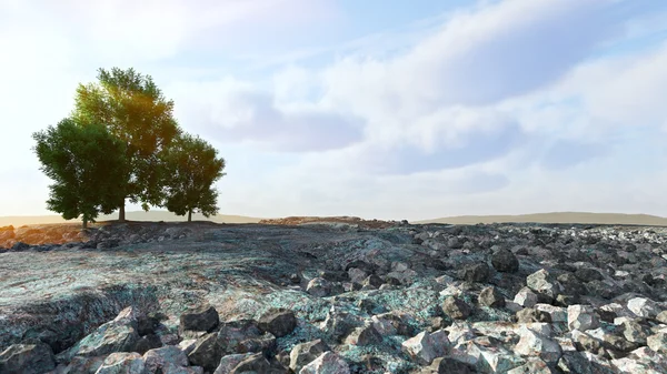 Wüstenlandschaft mit Felsen und Bäumen konzeptionelle Komposition — Stockfoto