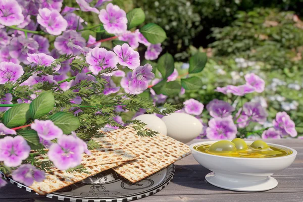 Jewish celebrate pesach passover with eggs,olive, matzo and flowers — Stock Photo, Image