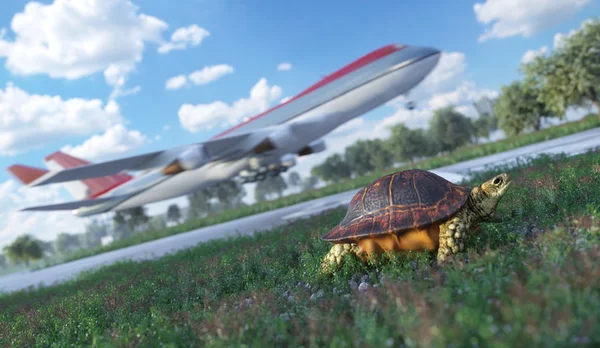 ¿Quién es más rápido. Avión y tortuga corriendo. Concepto de tecnología de viajes — Foto de Stock