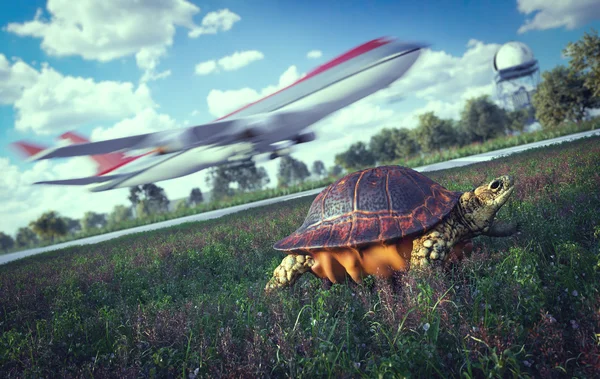 ¿Quién es más rápido. Avión y tortuga corriendo. Concepto de tecnología de viajes — Foto de Stock