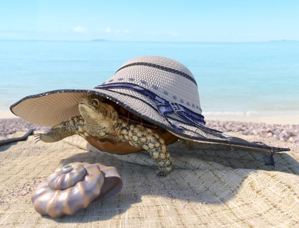 Relaxační dovolená koncept pozadí s mušli, želva a plážové Doplňky — Stock fotografie
